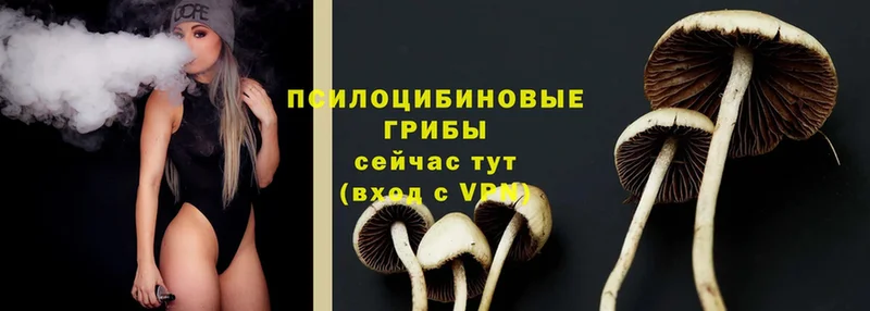 даркнет сайт  Звенигород  Галлюциногенные грибы Magic Shrooms 